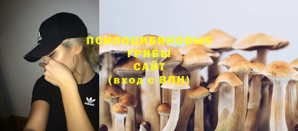 бошки Володарск
