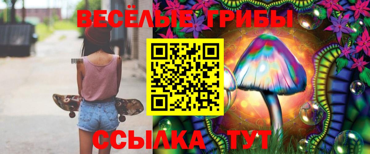 Галлюциногенные грибы GOLDEN TEACHER  Вход с VPN  Галлюциногенные грибы ЛСД  Назарово 